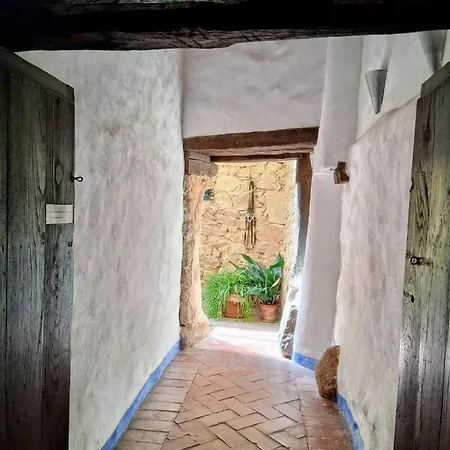Cantarranas * Cuacos De Yuste